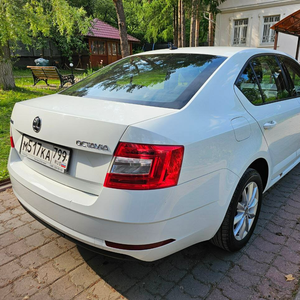 Аренда Skoda Octavia от 5 дней