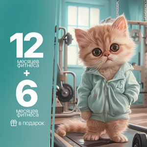 12 месяцев+6 месяцев в подарок