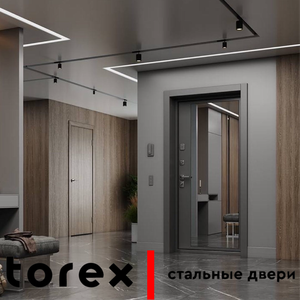 Стальные двери Torex