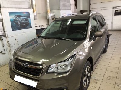 Антигравийная пленка для автомобиля