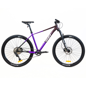 OZI A2953DH (2024) Фиолетовый