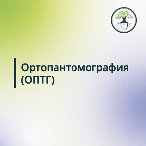 Панорамный снимок