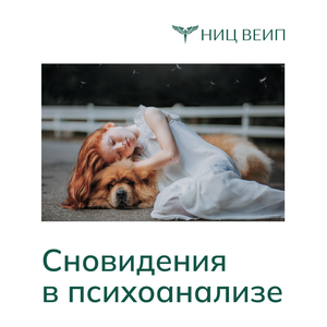 Сновидения в психоанализе и психотерапии