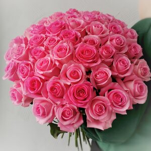 51 роза голландской розы (цвет на выбор)