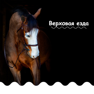 Верховая езда на лошади