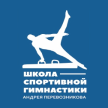 Sport Gymnastics School of Andrey Perevoznikov (Москва, Ярославское шоссе, 26, стр. 16), sports school