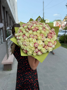 101 эквадорская роза кремово-розового микса. Доставка.