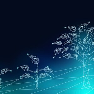 Разработка стратегии организации