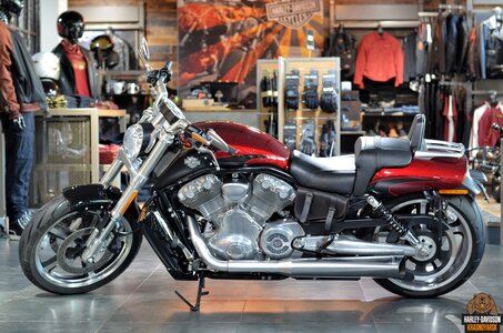 Harley-Davidson V-Rod Muscle, 2017