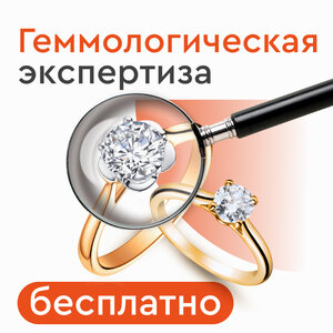 Экспертиза
