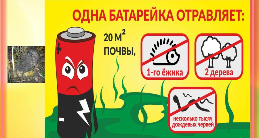Презентация на тему " Экологический вред батарейки" Karon, Shopping screenshot