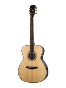 Parkwood P820ADK-WCASE-NAT - Акустическая гитара, цвет н