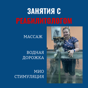 Реабилитация питомцев после травм/операций