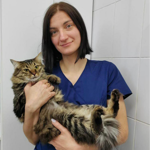 Приём хирурга для животных