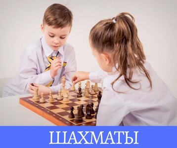 Шахматы