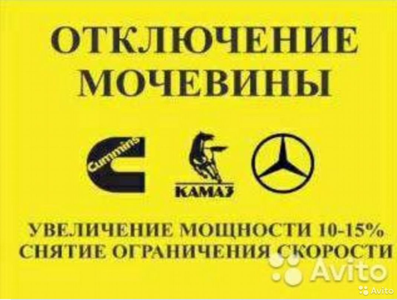 Отключение мочевины, сажевого фильтра в Чебоксарах
