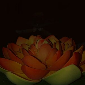 SIAM SPA