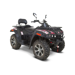 Квадроцикл RM 650-2