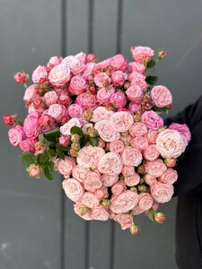 Роза кустовая пионовидная 50см 400р.