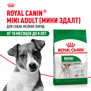 Royal Canin Корм сухой для взрослых собак 