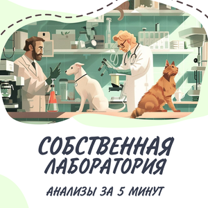 Лабораторные анализы для животных