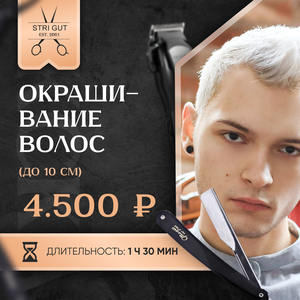 Мужское окрашивание волос | пепел | блонд | яркие цвета 