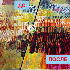 Чистка ковров от запахов и плесени