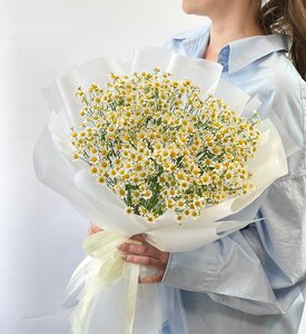 Букет ромашек