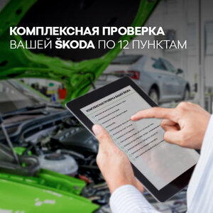 Комплексная проверка по 12 пунктам вашего авто