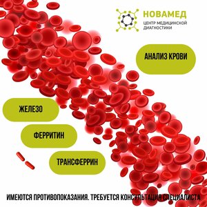 Сдать анализ крови на железо в сыворотке в ЦМД "Новамед"