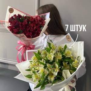 Альстромерия 