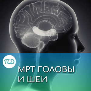 МРТ головы и шеи