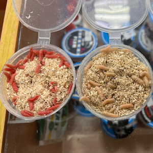 Опарыш "Белый и красный"