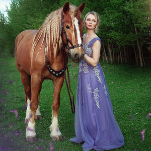 Аренда лошадей для фотосессий