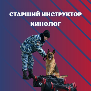 Курс старший инструктор кинолог