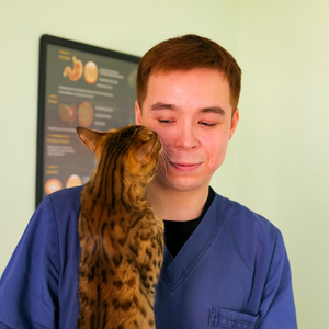 Вакцинация собак и кошек