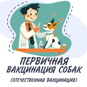 Вакцинация собак первичная (отечественная вакцина)