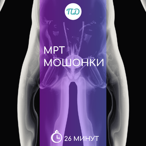 МРТ мошонки