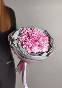 Монобукет из гвоздик