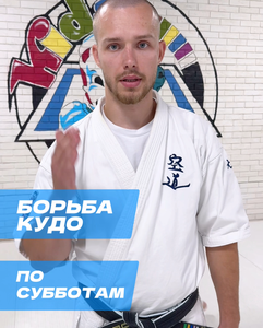Борьба кудо мини-группа