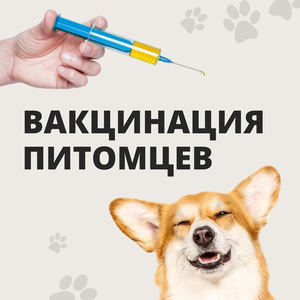 Вакцинация