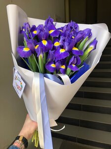Букет синих Ирисов 15 шт
