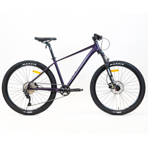 OZI A2753DH (2024) Фиолетовый