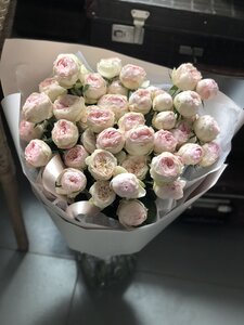 Розы кустовые сорта Мэнсфилд Парк 9 шт.