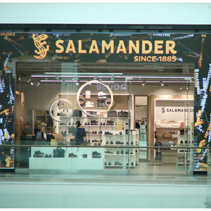 Salamander