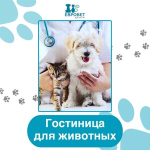 Гостиница для животных