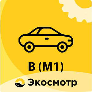 Техосмотр легковых авто B (M1)