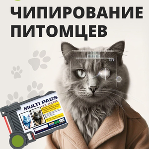 Чипирование животных