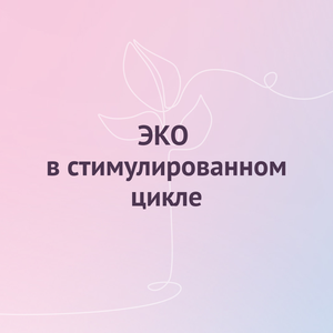 ЭКО в стимулированном цикле