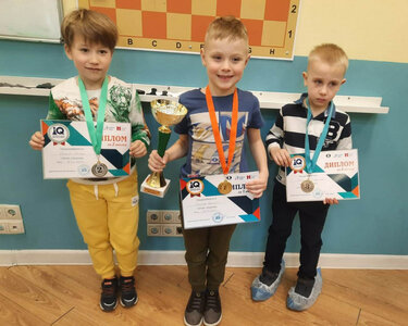 Обучение шахматам для малышей 4-5 лет